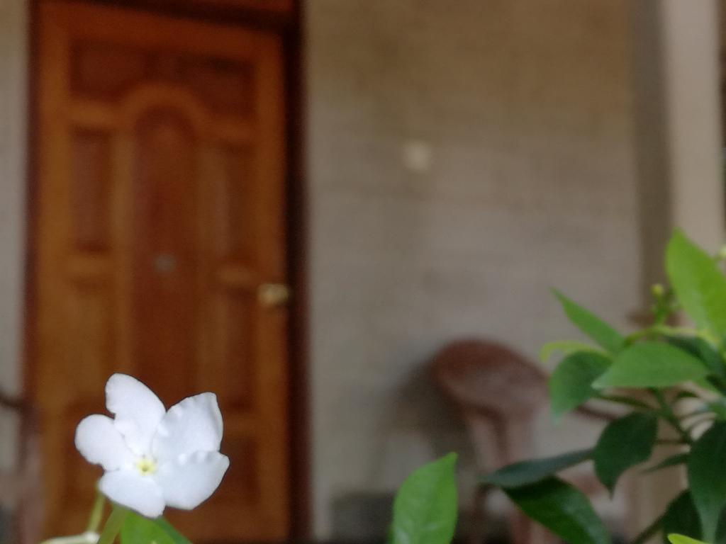 Gabaa Resort & Spa - Хабарана Екстериор снимка